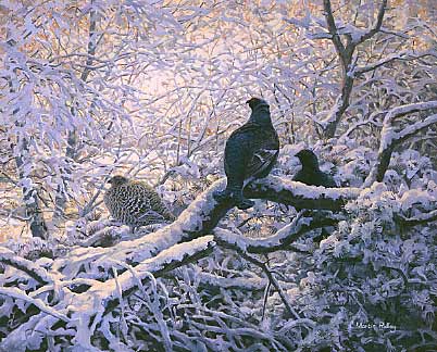 A painting of black grouse roosting in snow covered branches