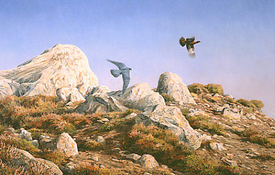 Wildlife Art : Peregrine falcon,  Falco peregrinus chasing a red grouse