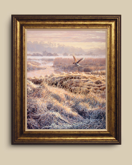 Framed print of a barn owl hovering over a tussocky bank.
