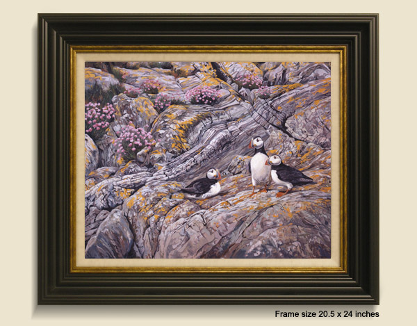 Puffin Framed Print for Sale