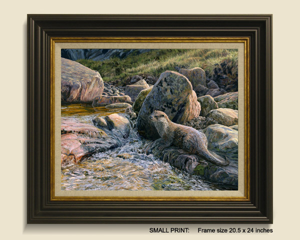 Otter Framed Print for Sale