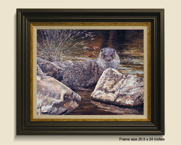 Framed print of a  young otter by Martin Ridley.