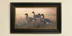 Framed pink-footed geese print for sale