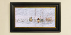 Framed ducks - drake-teal print for sale