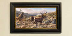Framed red deer stags print for sale