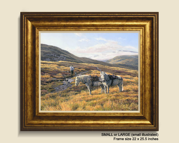 Stalking ponies framed print for sale - Highland Garrons