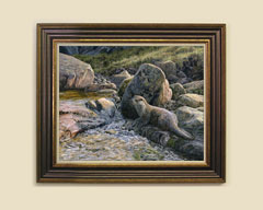 Framed European Otter print for sale