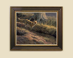 Framed red fox print for sale