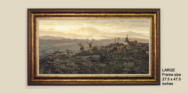Framed Red Deer Stags Print 