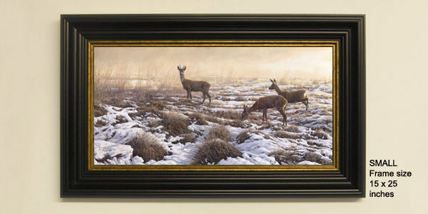 Roe deer print from an oil painting by Martin Ridley. Roe deer, a roe buck and two does crossing a snow covered marsh.