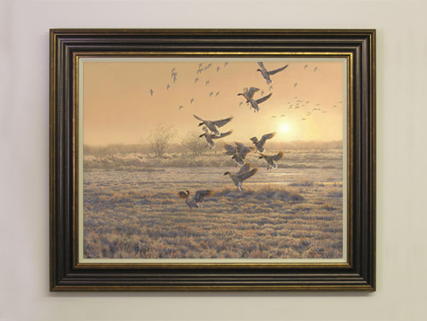 Pink-footed Geese Print for Sale - A flock of geese emerging out of the mist to land in a field. First In