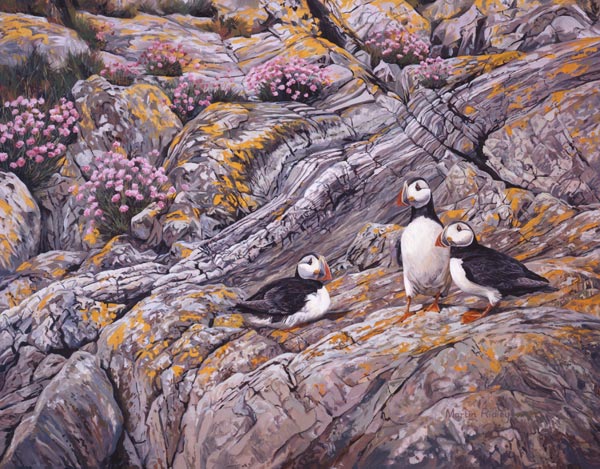 Puffin Print for Sale - Oil painting of puffins on a clifftop