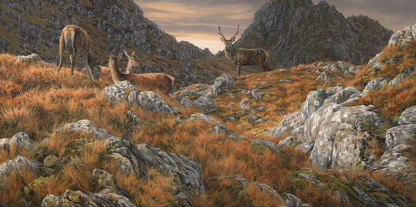 Red deer print from an oil painting by Martin Ridley. Red deer stag and hinds at the foot of some crags in the Scottish mountains.
