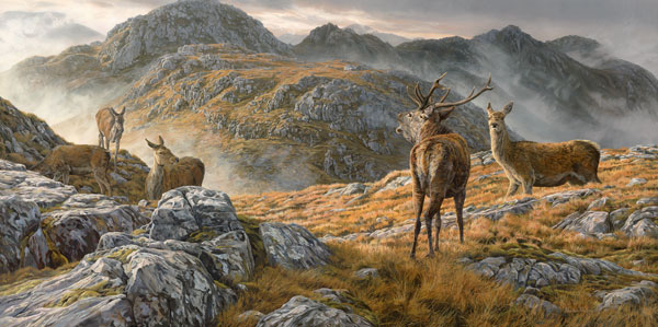 Oil painting: Roaring red deer stag with hinds. Druim Fada above Loch Hourn near Corran and Arnisdale in the Scottish Highlands.