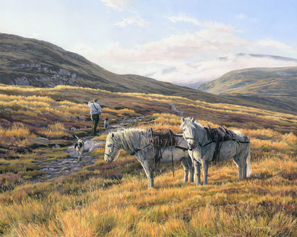 Stalking ponies / Highland Garrons, Red Deer Stalking Print