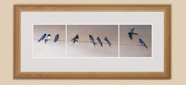 Framed swallows print for sale