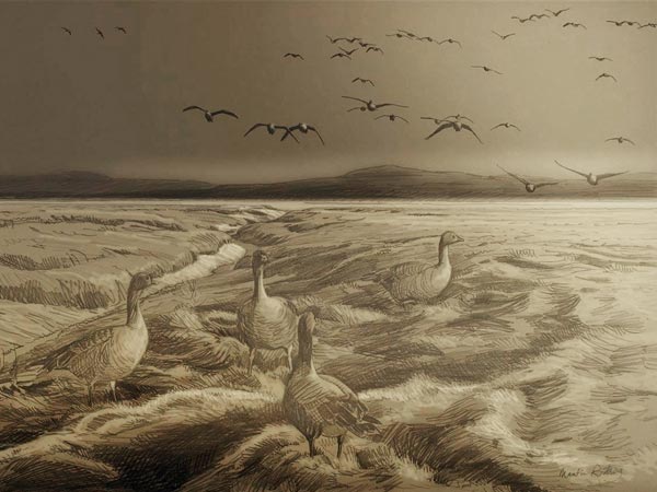 Sketch for Pink-footed geese, Wigtown Bay Oil Painting