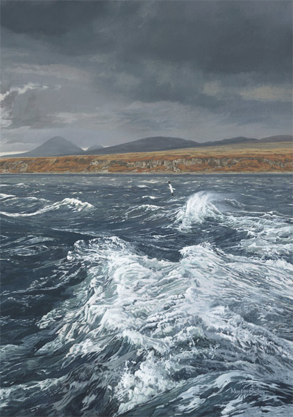 Bird painting in oils -  Gannet over a rough sea off Jura. Stormy waves 