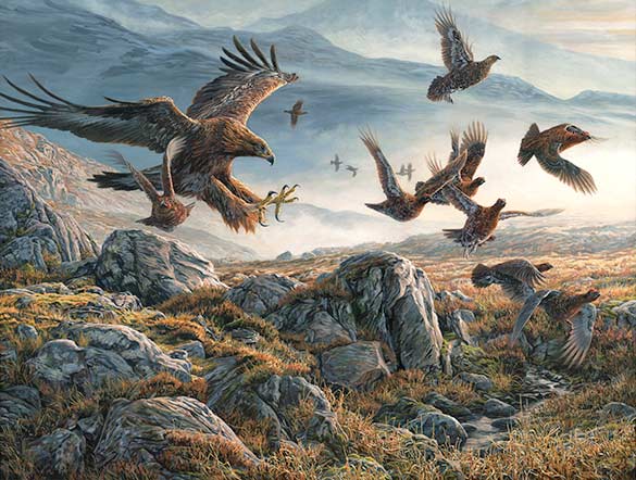 Original oil painting of a golden eagle hunting red grouse by Martin Ridley