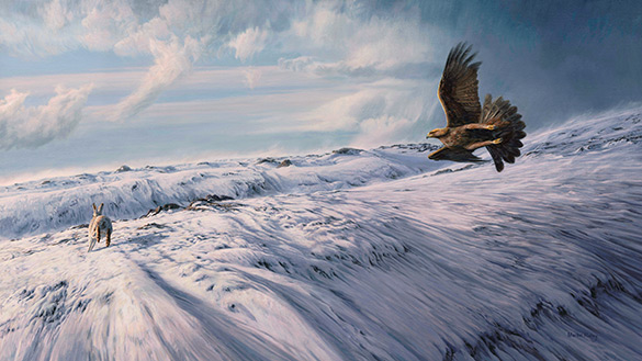 Hunting Golden Eagle - Oil Painting by Martin Ridley. Eagle chasing winter hare over snow.