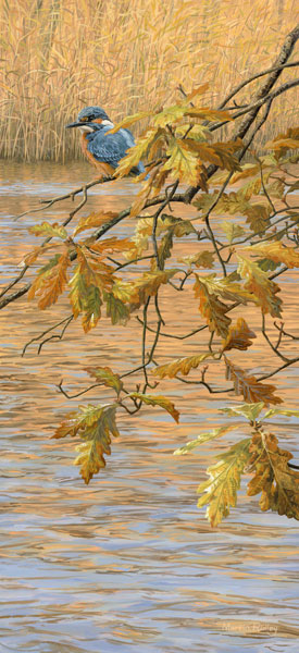 Kingfisher perched on a hanging branch of autumn oak leaves - An original oil painting