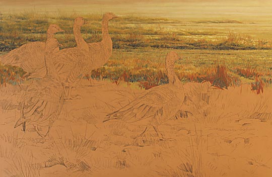 Pink-footed geese painting