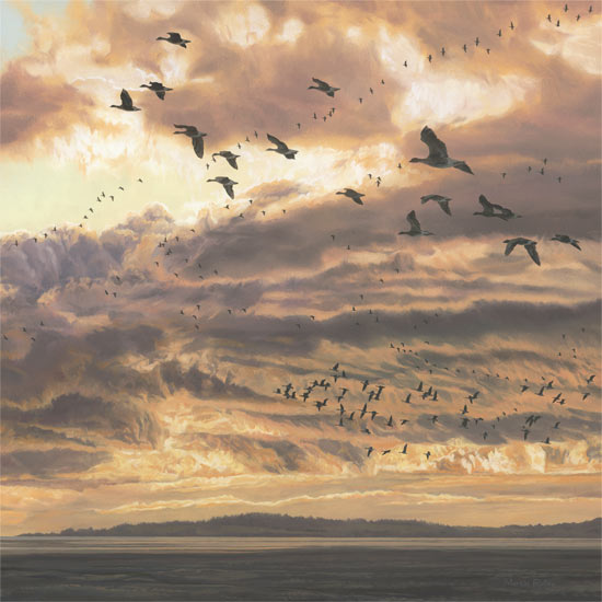 Evening Flight of Pink-footed Geese