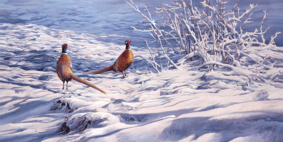 Original oil painting of a two cock pheasants in snow. Game birds