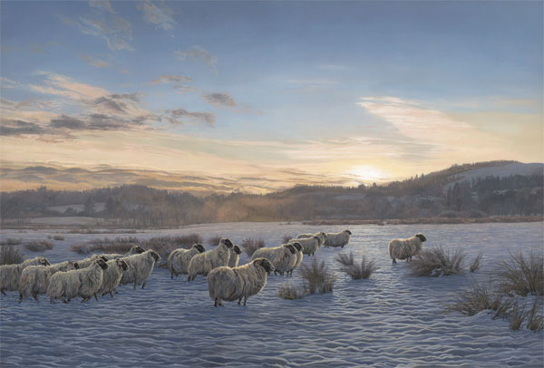 Flock of sheep waiting for the shepherd at dawn - Sheep painting