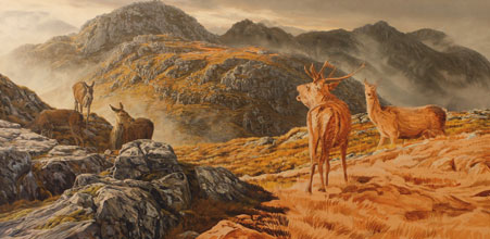 Wildlife paintings in progress