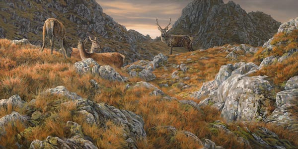 Red deer stag and hinds amonst the crags of the Druim Fada Ridge above Loch Hourn - Original oil painting of a stalking scene