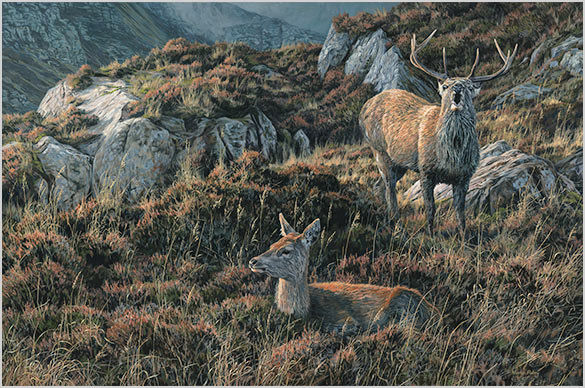 Eight Pointer - Red Deer Stag & Hind Oil Painting for Sale