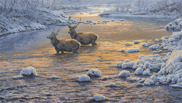 Painting of red deer stags river crossing.