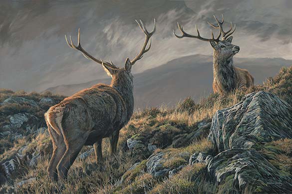 Royal Stags - Red Deer Oil Painting for Sale