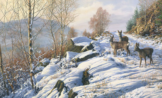 Three doe roe deer crossing a snow covered track. Roe deer oil painting by Martin Ridley available as a canvas print