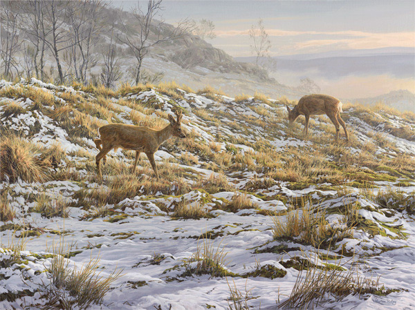 Thawing Snow - Roe Deer original oil painting
