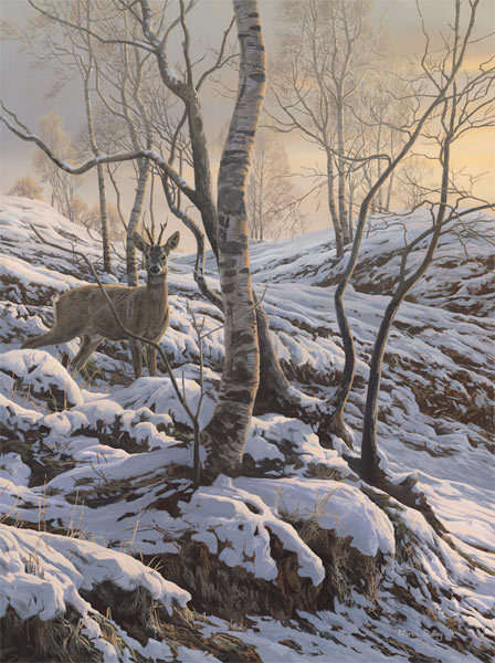 Winter Roe Buck in Snow - Original oil painting on Canvas