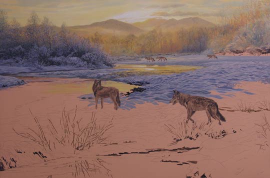 Wolf painting - Oil on canvas by Martin Ridley - Wolves picture