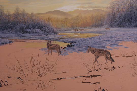Pack of wolves patrolling in snow. Original oil painting depicting five wolves at the riverside. Wolves Painting