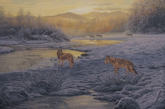For sale: original oil painting of wolves in snow. Painting depicting five wolves at the riverside.