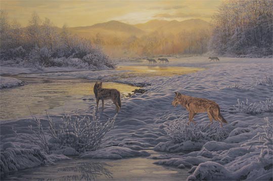 Wolves pack on patrol in snow. Original oil painting depicting five wolves at the riverside.