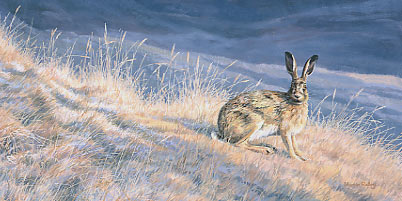 wildlifeart Original Painting for sale: Brown hare by Martin Ridley