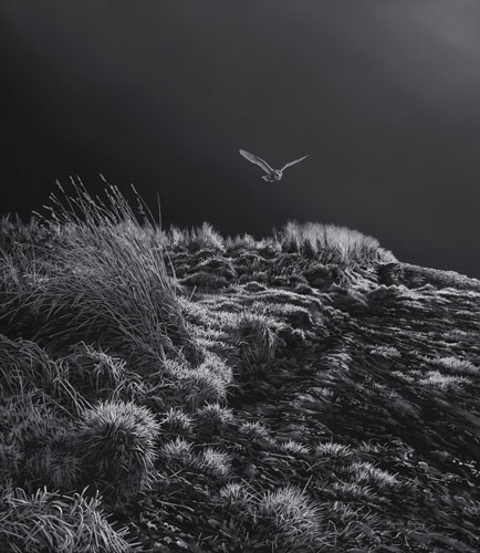 Barn owl prints - Moonlight Hunter from a painting by Martin Ridley