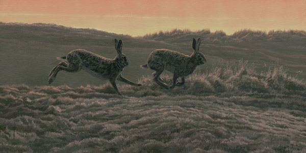 Chasing Brown Hares Framed Print