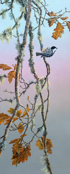 Coal tit print - Canvas on Daler Board Reproduction