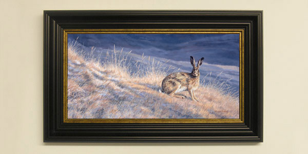 Brown Hare Framed Print for Sale