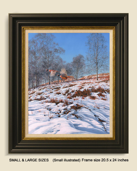Framed print of ring-necked pheasants for sale
