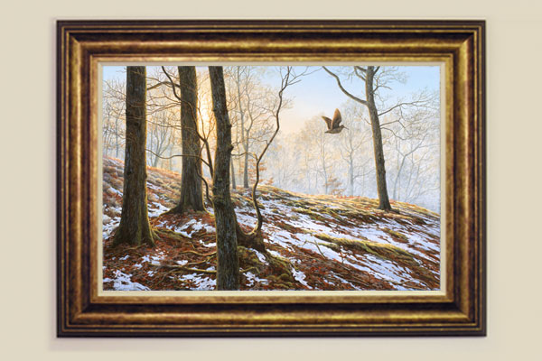 Woodcock Framed Print for Sale