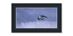 Framed pheasants in snow print for sale