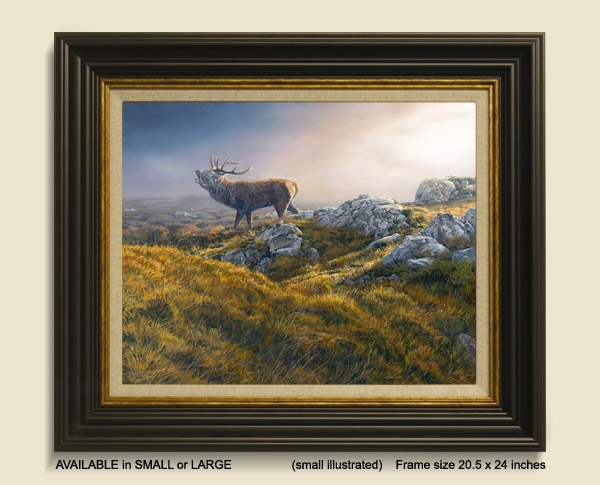 Bellowing Stag framed print for sale - Roaring Stag